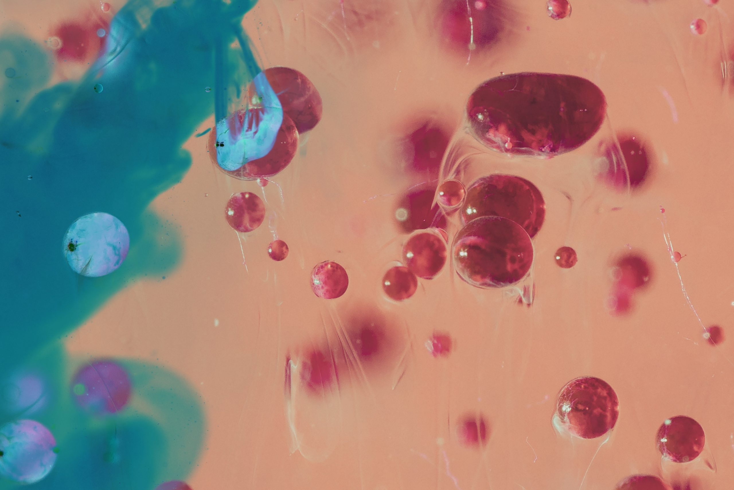 contrast-pink-abstract-pebbles-with-blue-spheres